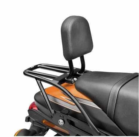 Harley Davidson Sissy Bar Bügel Schwarz 5 Harley Davidson Sissy Bar Bügel Schwarz – Bild 3