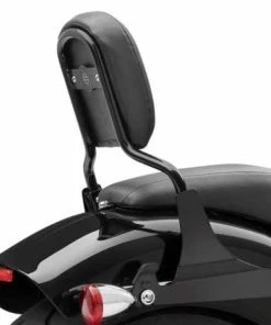 Harley Davidson Niedrige Mini-Medallion Sissybar, Schwarz -Harley-Davidson-Shop 52300401 2 harley2