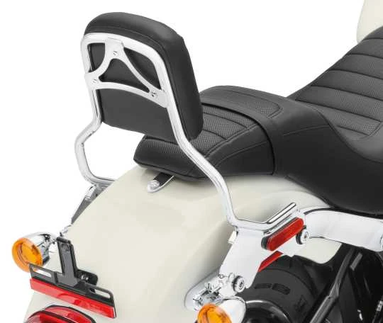 Harley Davidson HoldFast Sissy Bar Bügel Standard Chrom 4 Harley Davidson HoldFast Sissy Bar Bügel Standard Chrom – Bild 2