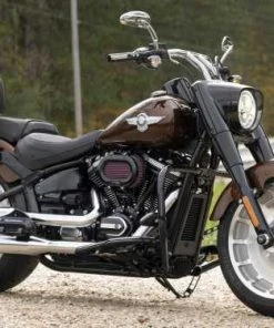 Harley Davidson HoldFast Sissy Bar Bügel Standard Schwarz -Harley-Davidson-Shop 52300439 32