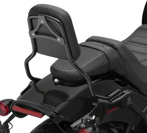 Harley Davidson HoldFast Sissy Bar Bügel Standard Schwarz 4 Harley Davidson HoldFast Sissy Bar Bügel Standard Schwarz – Bild 2