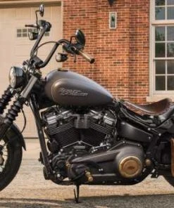 Harley Davidson Einteilige Rigid Mount Sissy Bar Groß 21" Schwarz -Harley-Davidson-Shop 52300502 3