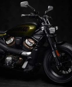 Harley Davidson Adversary Kupplungs-Medaillon Grau -Harley-Davidson-Shop 56000225 32 2